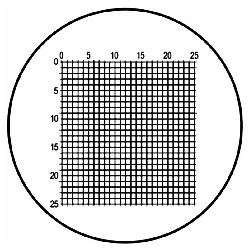 LeeTun DIV 0 2 мм окуляр микрометр для микроскопа глазной калибровки Graticule 25x25 GrideStage