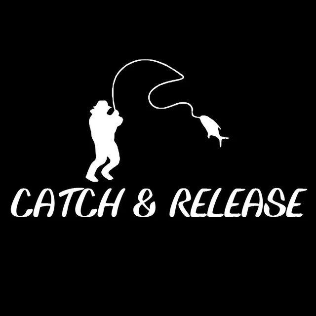 Catch release. Catch release. Игра для релаксации природа. Catch and release vector. Catch release vr.