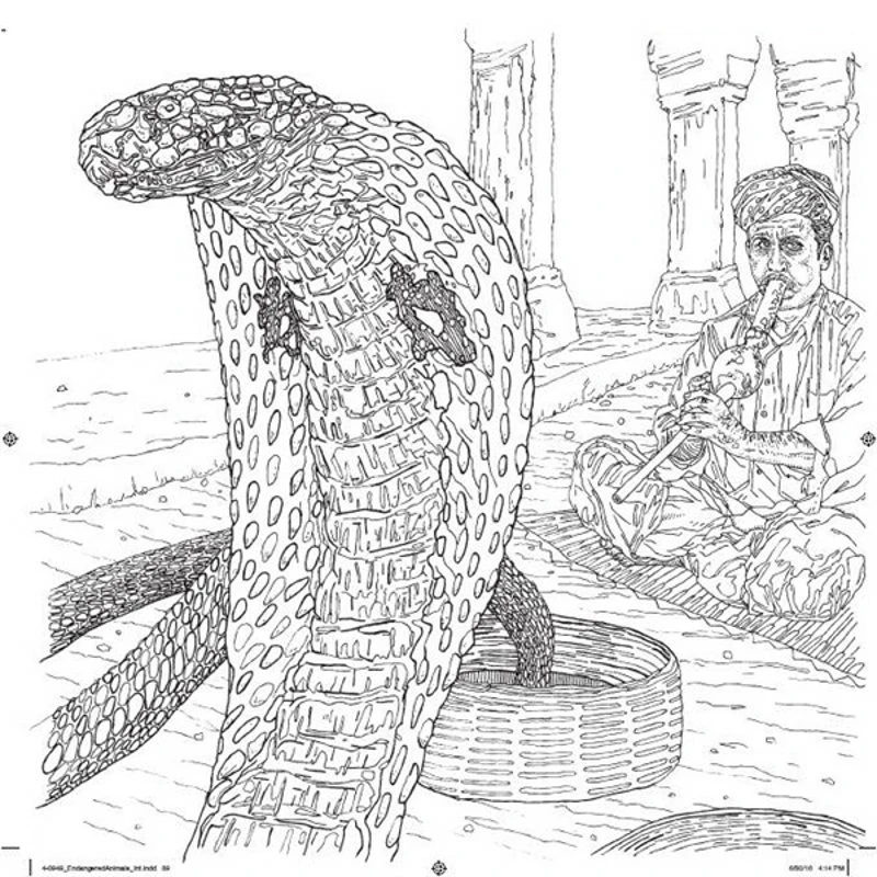 96 страниц рисованная животная раскраска для взрослых детей цветная книга