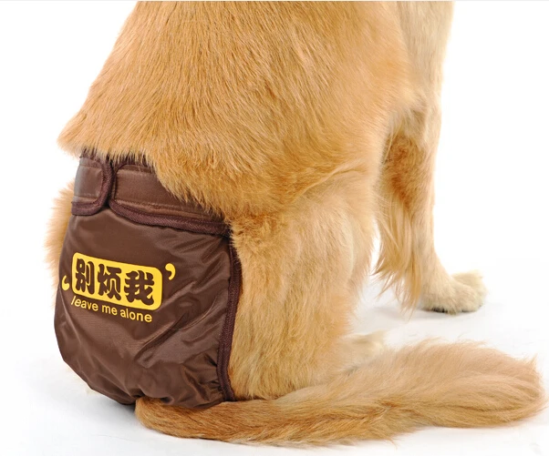 1 шт. модные менструальные брюки для больших собак Размеры S M L|dog physiological pants|dog