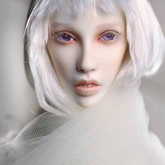 Dollshe craft DS Erica-snow 26F 1/3 модель тела Девушка bjd sd кукла oueneifs высокое качество смолы игрушки Бесплатный глаз бусины магазин
