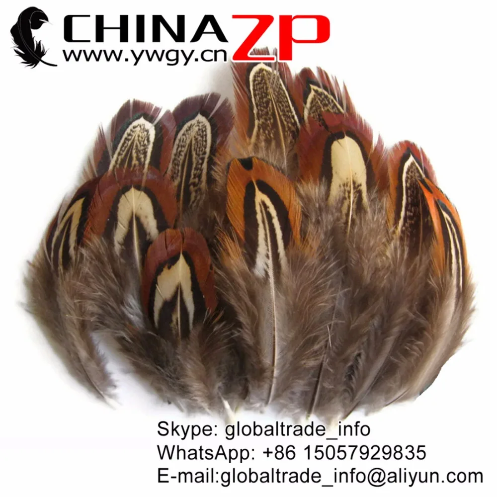 

CHINAZP Factory Retail and Wholesale 200pcs/lot 5-7cm Natural Ringneck Pheasant Plumage Feathers