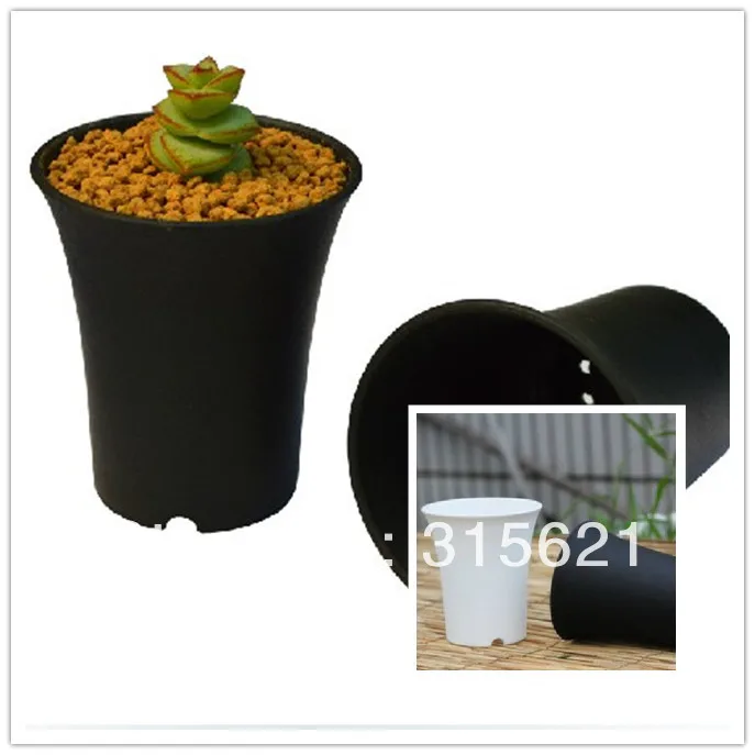 4 шт. вьющаяся раковина для растений 7 8 см х 9 см|plant organ|flowerpot wallplant figurines |