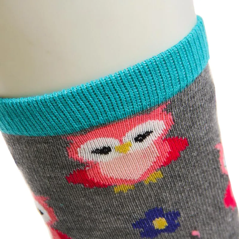 Женские короткие носки MYORED хлопковые с изображением белка лисы совы карамельных - Фото №1