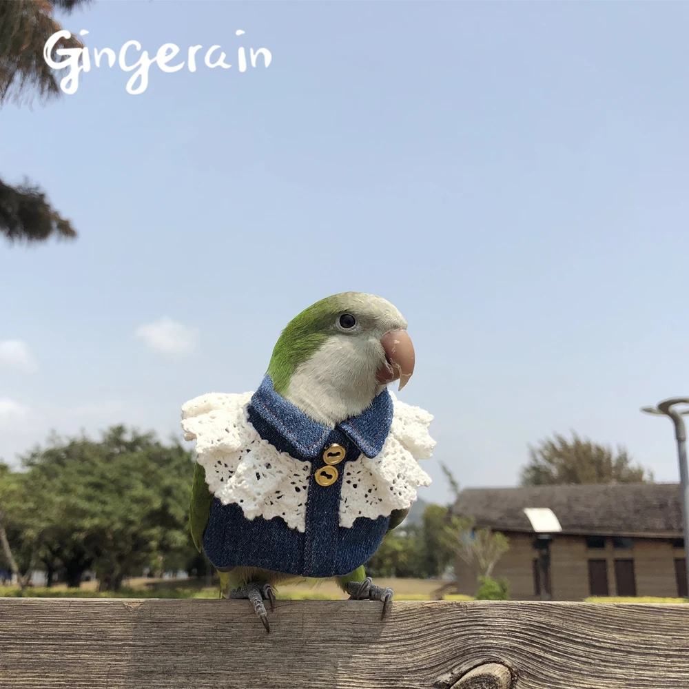 Одежда с птицами и попугаями Gingerain оригинальная Коралловая одежда ручной работы