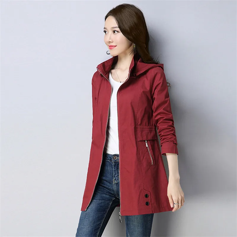 Для женщин ветровка 2019 Демисезонный новый корейский Тонкий Верхняя одежда с