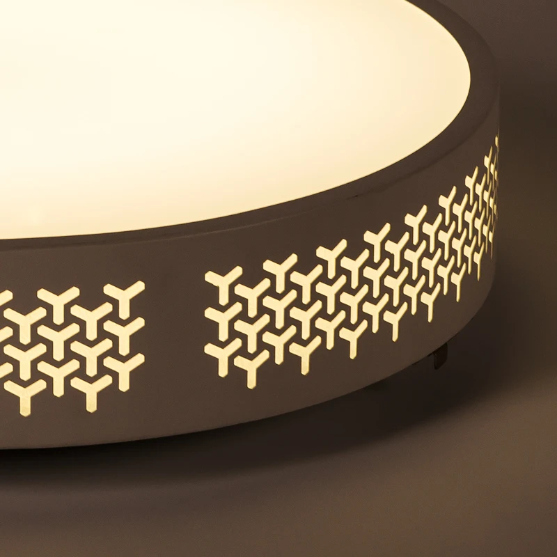 Li Lai led ceiling lamp modern minimalist living room lighting bedroom Wo |