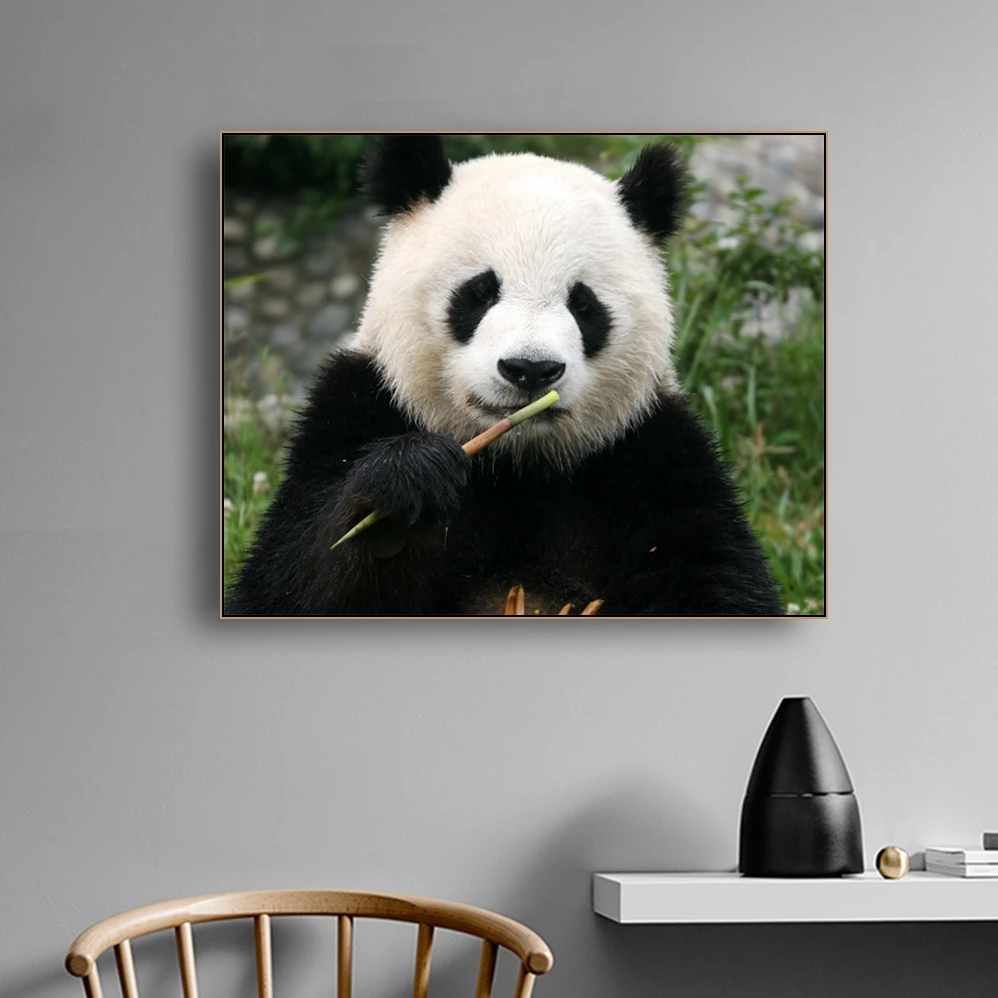 Панды едят бамбуковые животные Настенный декор холст живопись каллиграфия