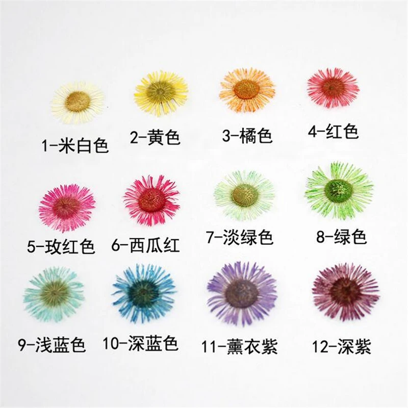 12 шт креативные натуральные высушенные цветы образец растения тисненые разъемы