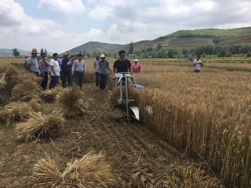 Мини комбайн для самостоятельной сборки зерен/риса/пшеницы|Кухонные комбайны| |