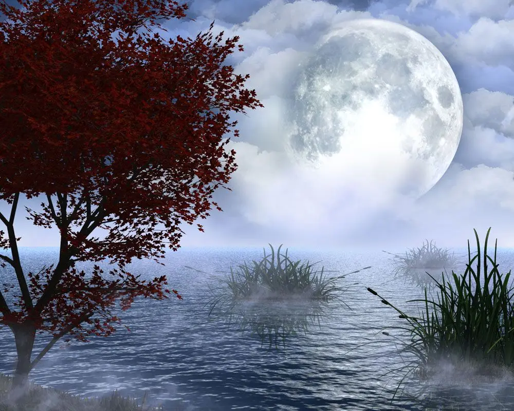 5D DIY Алмазная картина лунный свет морской крест стежка вышивка мозаика алмазы