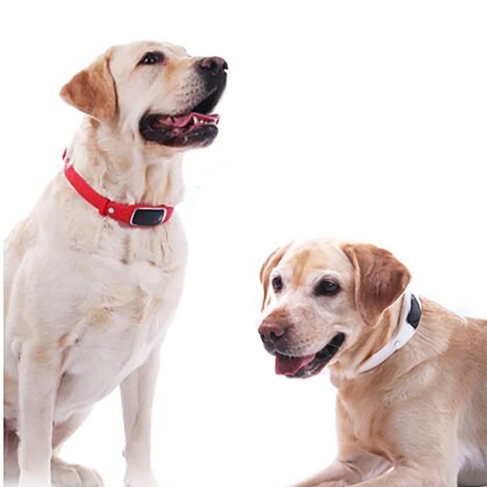 Pet gps воротник Smart трекер активности для кошки собаки с Geofence голосового
