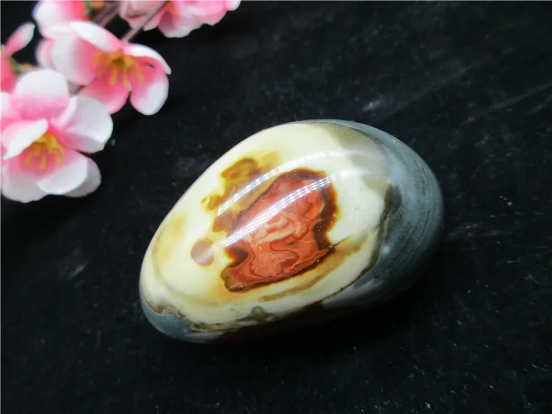 Natural Madagascar Marine Stone Ocean Jasper Teaching Material Minerals Collection | Дом и сад