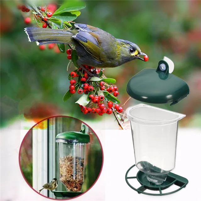 Glass Perspex Window Bird Feeder Hanging Suction Cup Automat