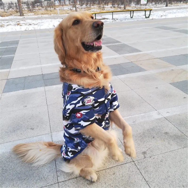 Bigeyedog пальто для собак крупных пород толстовка с капюшоном Одежда больших Зима