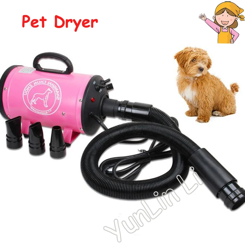 Electric Dog Hair Dryer Cat Hair Blowing Machine Low Noise Pet Hair Drying Machine Handheld High Power Hair Blower