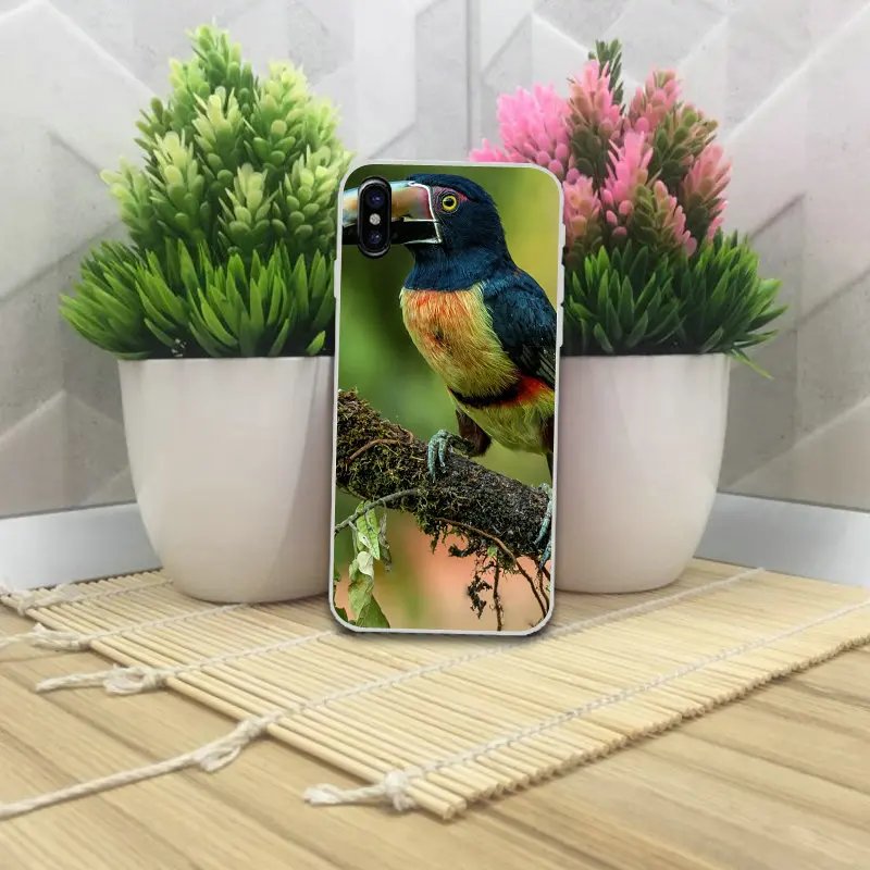 Мягкие ТПУ Силиконовые телефонные чехлы с рисунком птиц для iPhone 4 мобильный