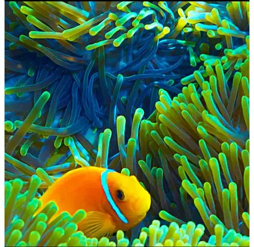 

Custom photo Waterproof flooring wallpapers The undersea world tropical fish 3d mural PVC wallpaper self-adhesion floor wallpaer