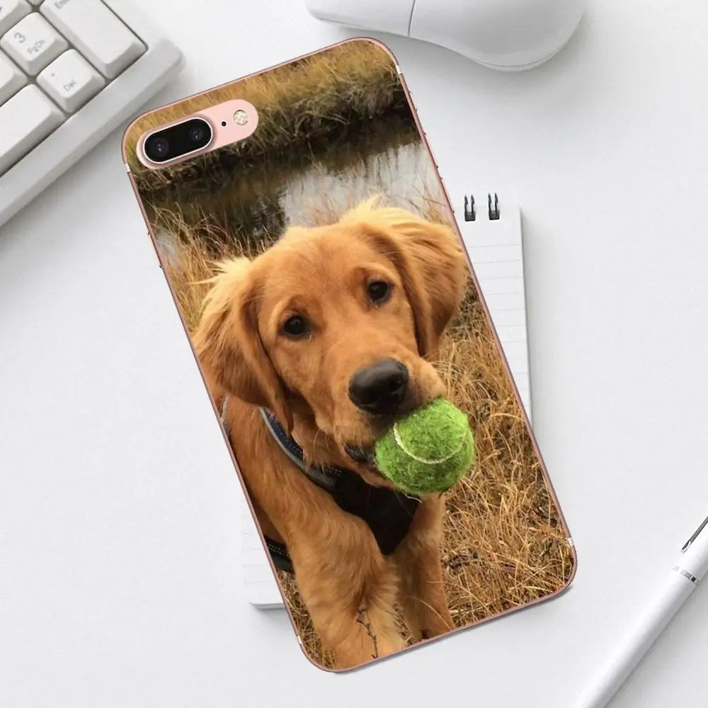 Тонкая кожа Qdowpz для Galaxy Alpha Core Prime Note 4 5 8 S3 S4 S5 S6 S7 S8 S9 mini edge Plus золотистый ретривер |