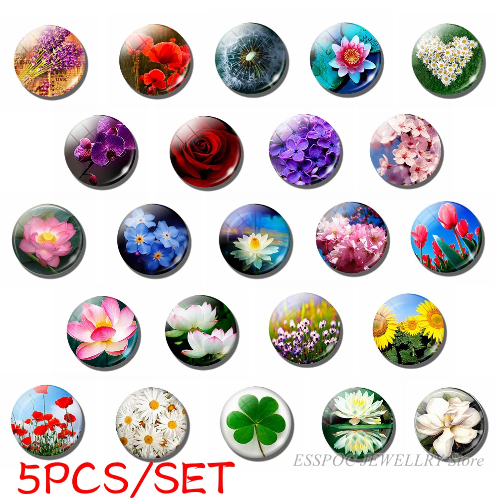 5PCS/SET Daisy Rose Sakura Simple Style Jewelry 25mm Glass Cabochon Poppy Flower Making Fashion Accessories Men Women Gifts | Украшения и