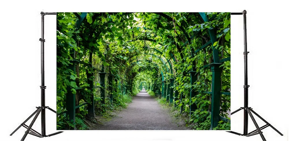 Laeacco Park зеленые листья Арка пассаж живописные фотографии фоны индивидуальные
