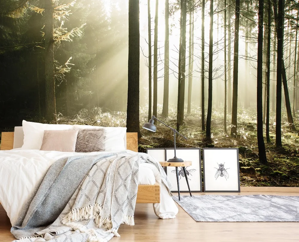 [Самоклеющиеся] 3D Sunshine Woodland 22 настенная бумага печать настенные наклейки |
