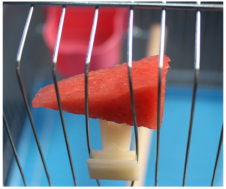 5 шт./лот вилка для фруктов кормушка попугаев товары домашних животных