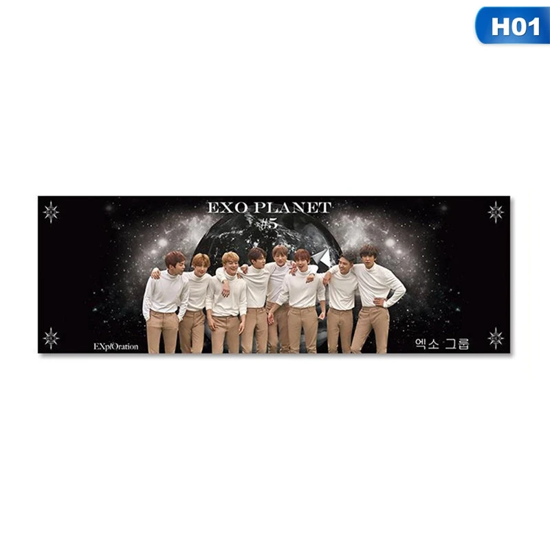 OSS6428H01 1 Piece Kpop EXO BAEKHYUN CHANYEOL SEHUN Concert Support Hand Banner Fabric Hang Up Poster For Fans Collection Gift - Цвет: OSS6428H01