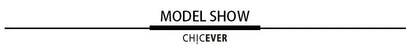 CHICEVER, весенний повседневный комплект из двух предметов, хит, цветные, в полоску, с капюшоном, на молнии, куртки с эластичной талией, Тонкие штаны, спортивный костюм для женщин