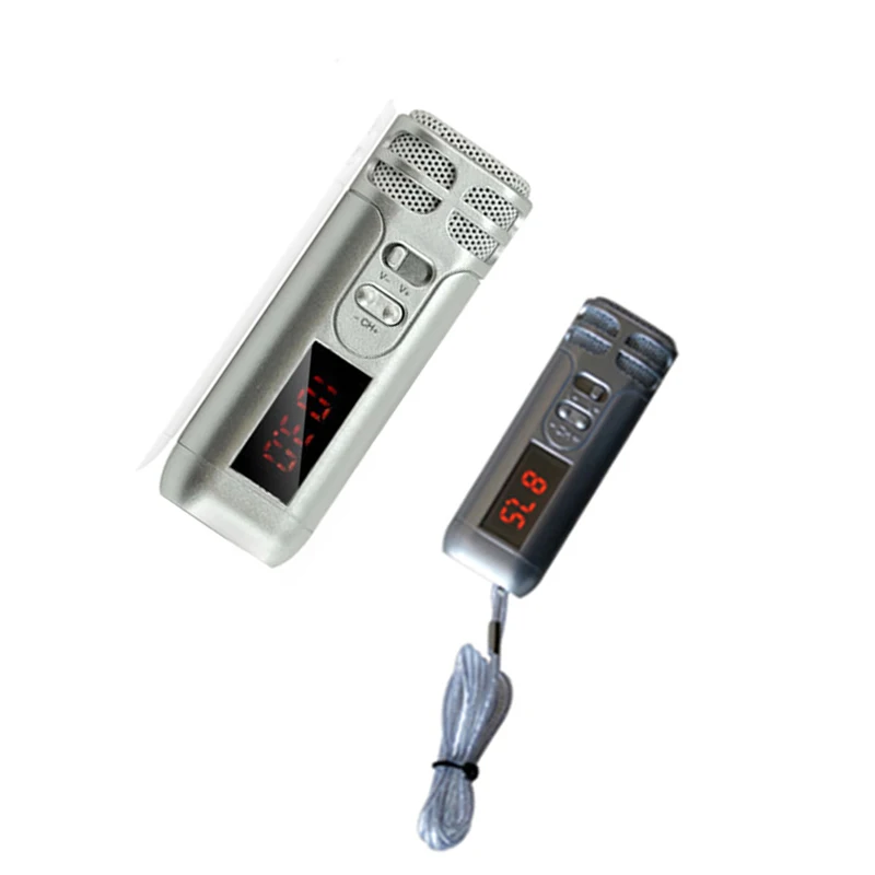 Ручной FM микрофон LEORY Mini Reverb беспроводной для туристического гида