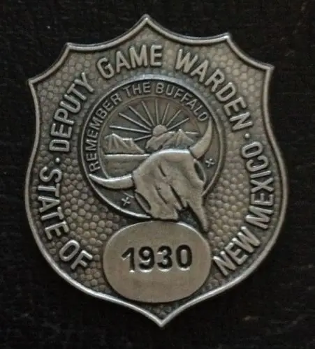 Значок на заказ по низкой цене высококачественный значок безопасности дешевый