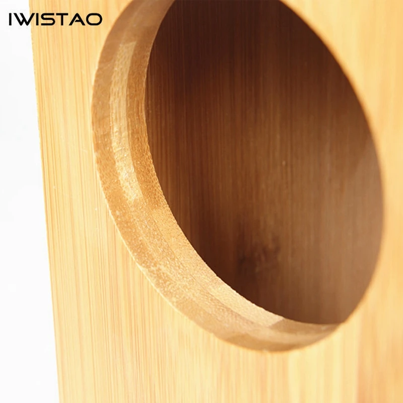 IWISTAO HIFI 4 дюймовый Полнодиапазонный динамик пустой шкаф инвертированный 1 пара
