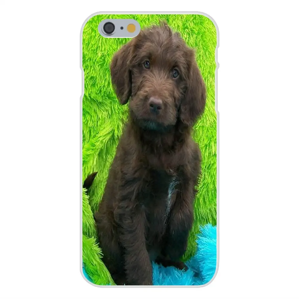 Мягкий ТПУ защитный чехол для Apple iPhone 4 4S 5 5C 5S SE 6 6S 7 8 Plus X XS Max XR | Мобильные телефоны