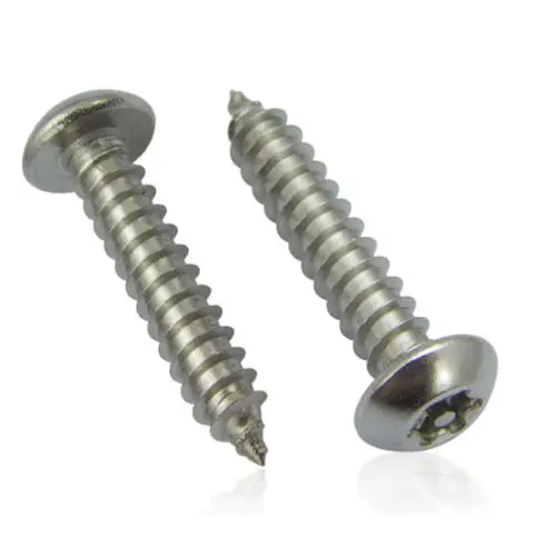 Винты самонарезающие из нержавеющей стали M2.9 Torx с круглой головкой и колтусом x 16