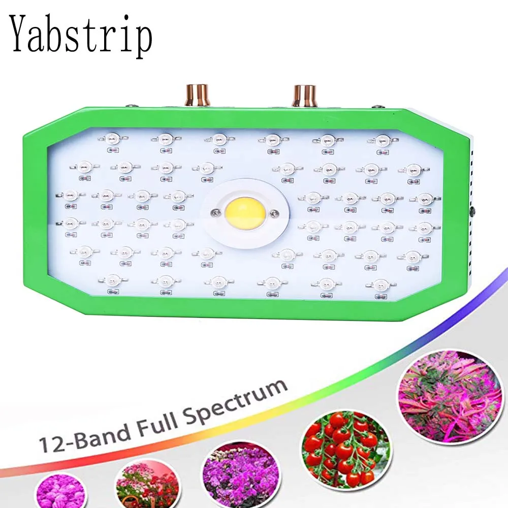 1000W LED Grow Lights full spectrum Plant Growth Light for indoor seedling Greenhouse Hydroponic tent phyto lamp