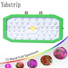 1000 Вт Светодиодный светильник для выращивания растений с полным спектром, светильник для выращивания растений для комнатных саженцев, теплиц, гидропонная палатка, фито-лампа