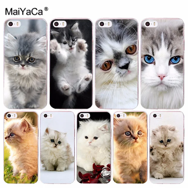 MaiYaCa животное персидский кот Прекрасный для iPhone 4S SE 5C 5S 6 6S 7 8 Plus X XR XS MAX телефонные