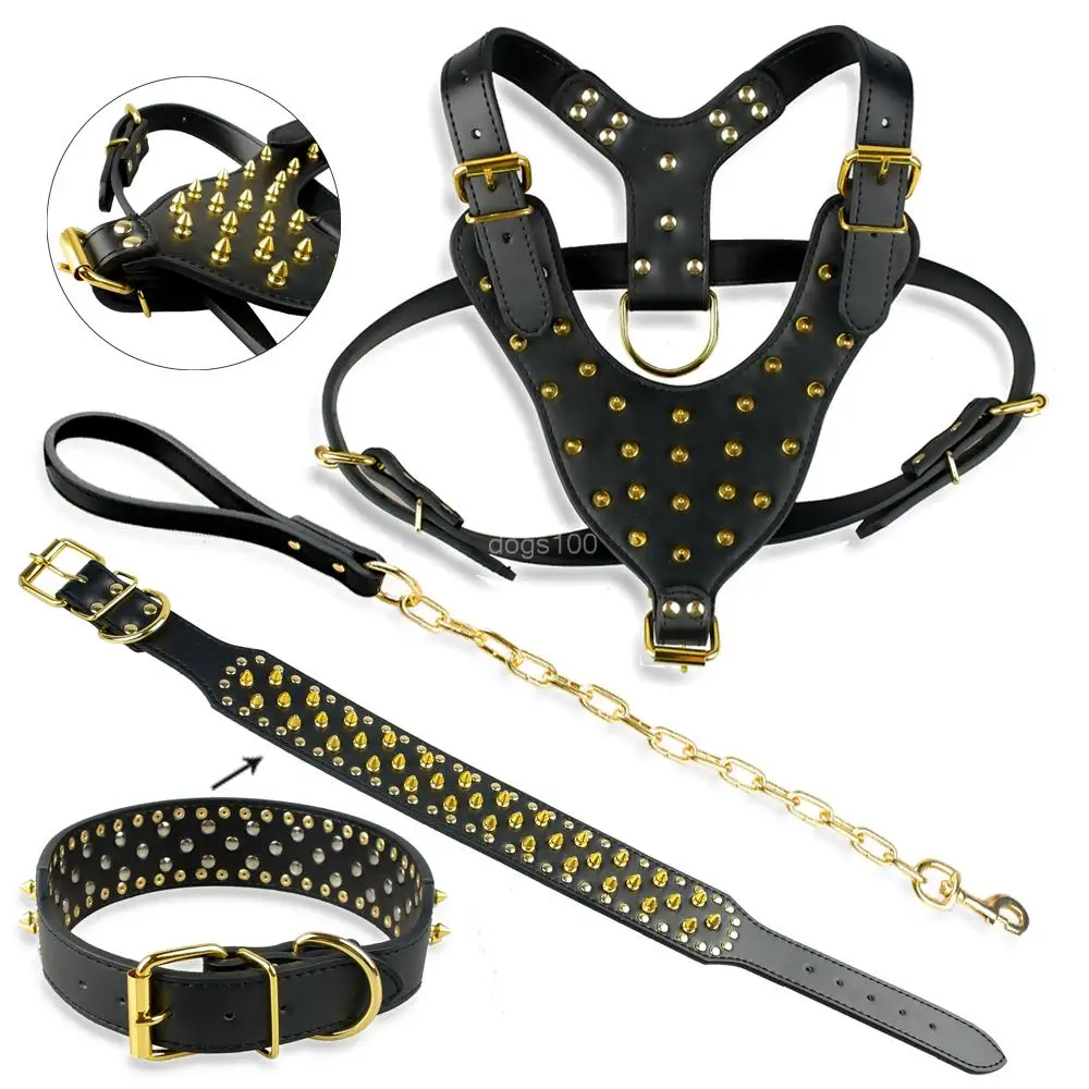 Поводок с золотыми шипами для больших собак|harness pet|setsset pot |
