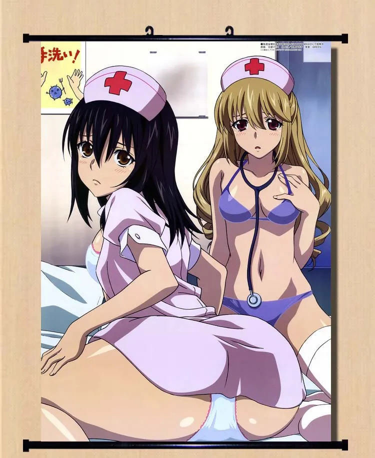 Японская декоративная картина аниме Страйк кровь Kojou Akatsuki Sayaka Kirasaka Yukina Himeragi