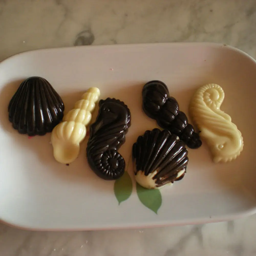 Гиппокамп гребешок морской раковины производитель Поликарбонат PC шоколадные