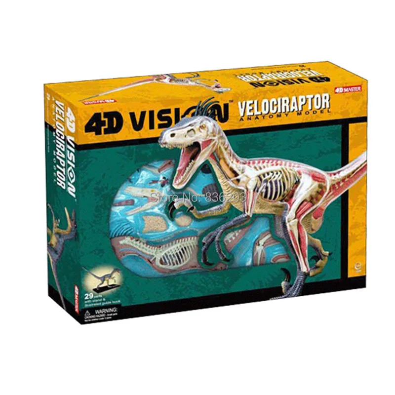 19 дюймовый DELUXE 4D Master Vision Velociraptor динозавр дистрибьютор анатомическая Магнитная