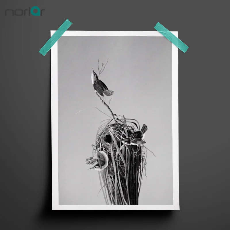 Настенная Картина на холсте Джон Джеймс осюбон болотный Wren плакаты с птицами