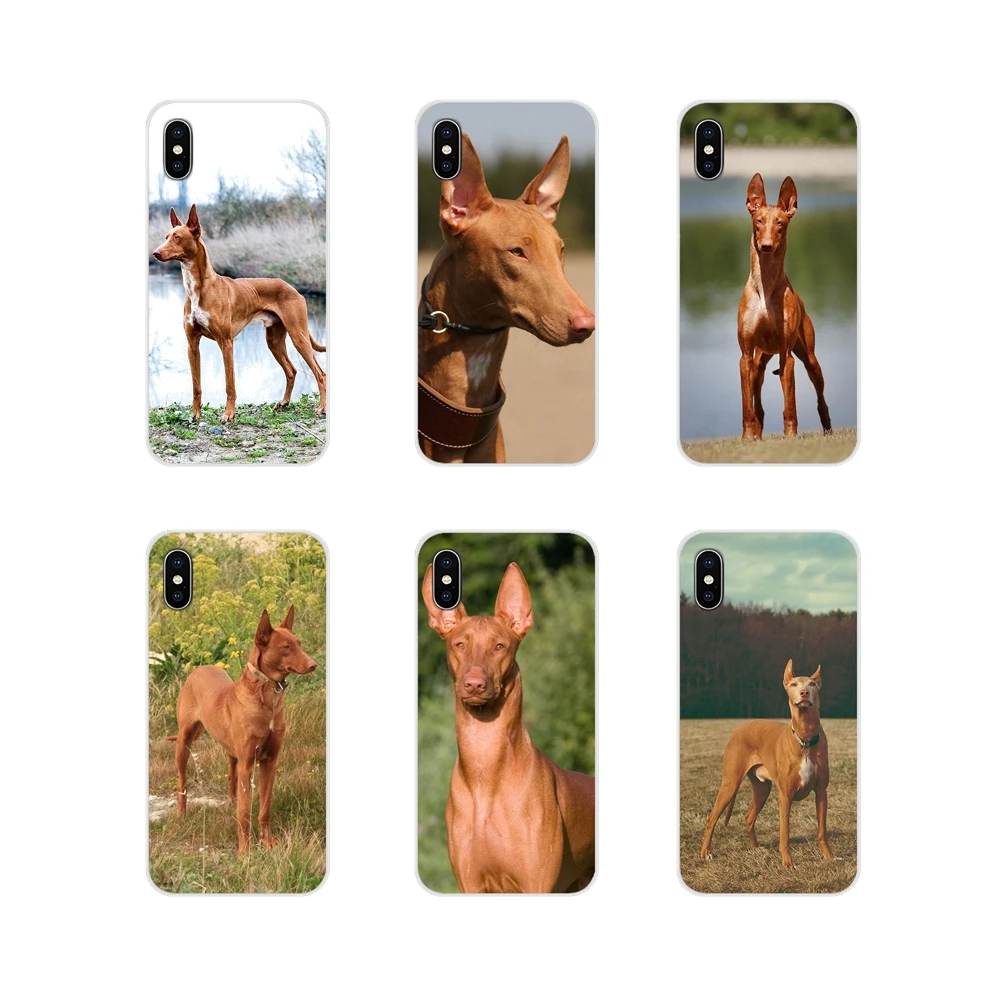 Аксессуары Чехлы для Xiaomi Mi4 Mi5 Mi5S Mi6 Mi A1 A2 5X 6X 8 9 Lite SE Pro Max Mix 2 3 2S Pharaoh Hound puppy dog
