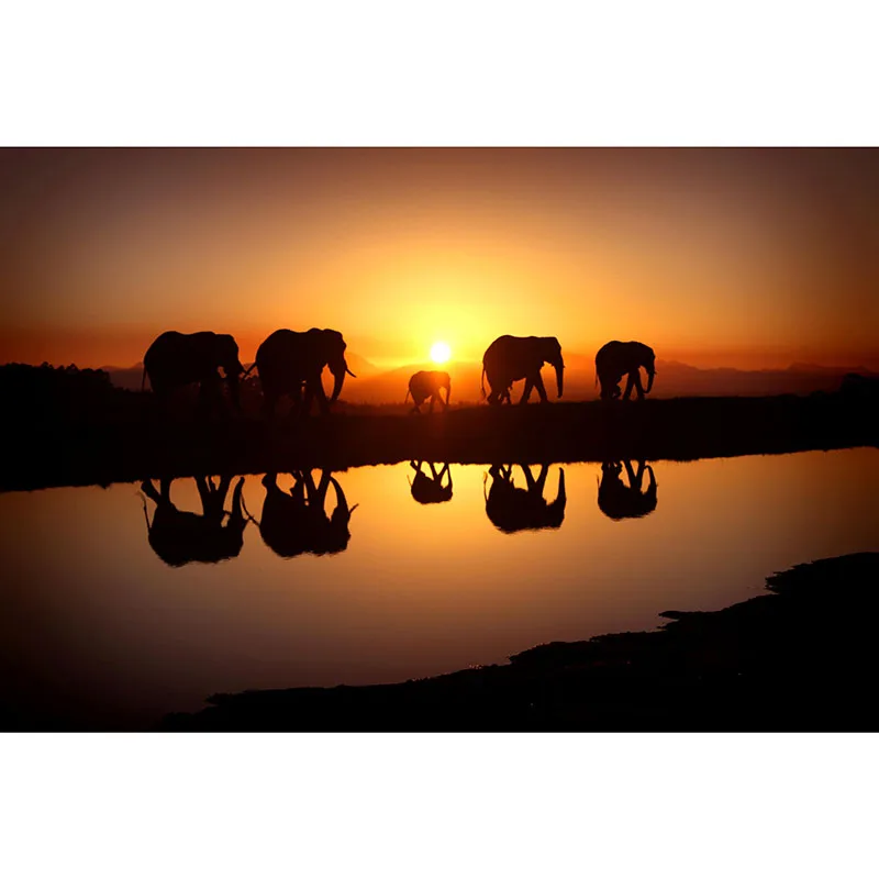 

Картина полностью Квадратный бриллиант, 5D Сделай Сам-слон Закат-вышивка крестиком домашний декор мозаика домашнее свадебное украшение