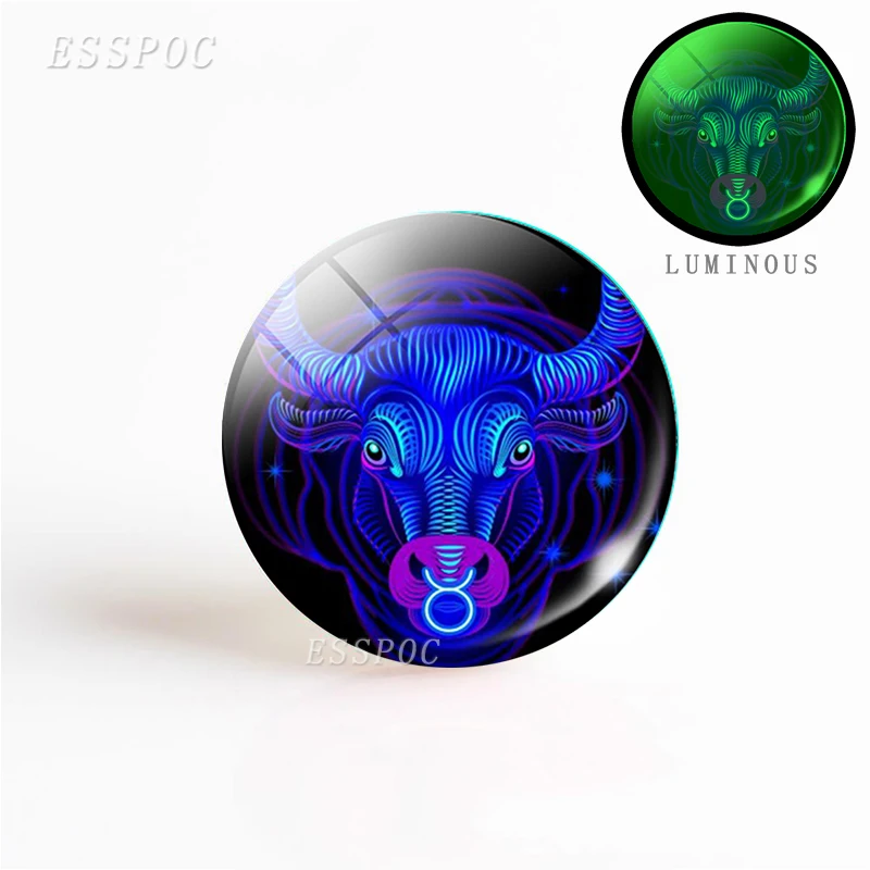 5PCS/SET Luminous Zodiac Sign 25mm Glass Cabochon Handmade 12 Constellation Jewelry Findings Glowing Diy Making Pendant | Украшения и
