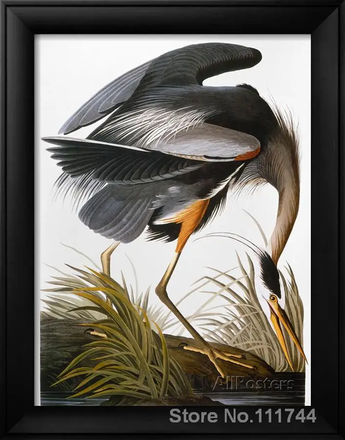Картина с животными птицами Audubon Heron картина изображением персонажей из