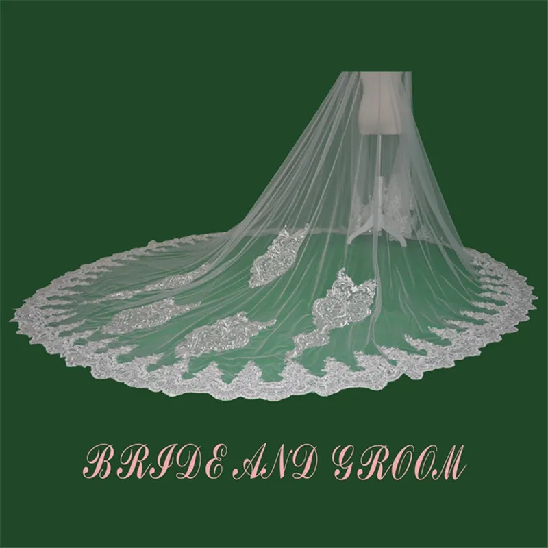 2018 Tulle Cathedral Wedding Veils 300*300cm Special Lace Appliques Edge Bridal Veil Wedding Accessories Long Bride Wedding Veil
