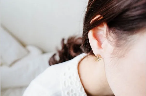

WJZB Fashion animal birdcage stud post earring