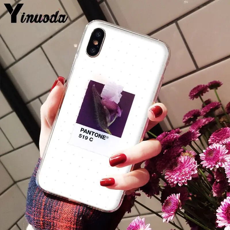 11pro MAX Pantone яркие цвета цветок Новое поступление Прозрачный чехол для мобильного