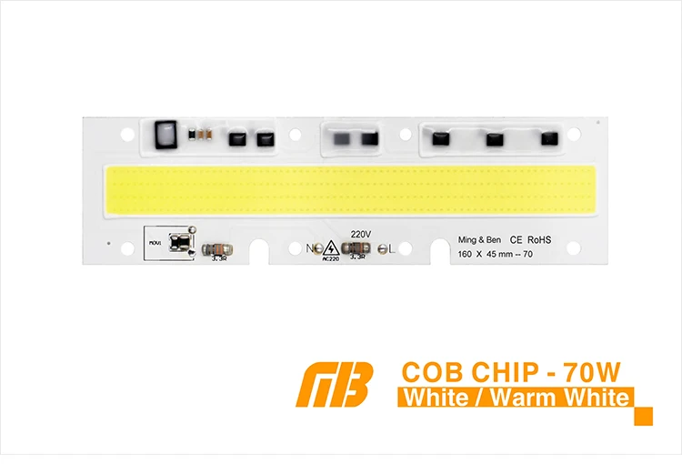 Светодиодный чип COB 20 Вт, 30 Вт, 50 Вт, 70 Вт, 100 Вт, 150 Вт, переменный ток, 220 В, 110 В, IP65 Smart IC, подходит для DIY, светодиодный прожектор, холодный белый, теплый белый